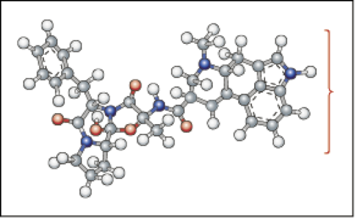 sc-1-c1