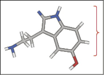 sc-1-c3