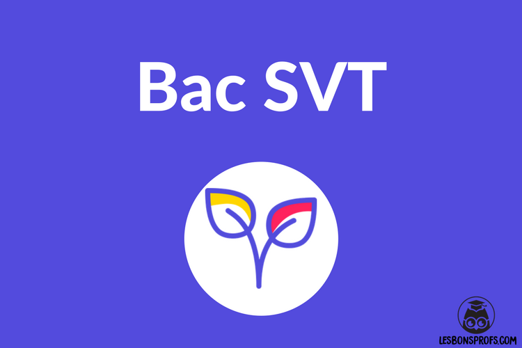 comment réviser le bac SVT.png