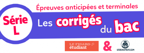 Bac2019-banniere-L.png