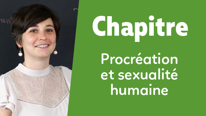 Procréation et sexualité humaine