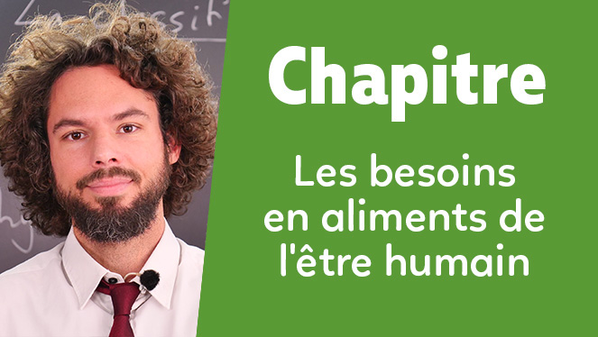 Les besoins en aliments de l'être humain