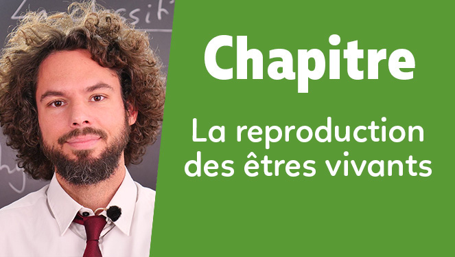 La reproduction des êtres vivants