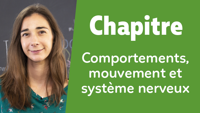 Comportements, mouvement et système nerveux