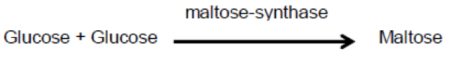 calcul_maltose.png