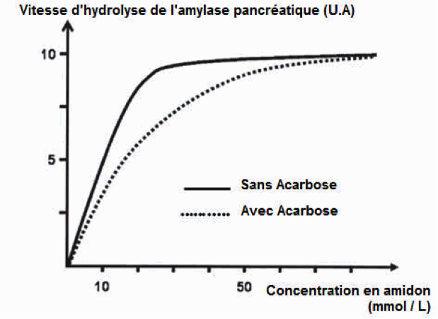 maltose1.png