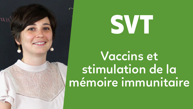 SVT - Vaccins et stimulation de la mémoire immunitaire