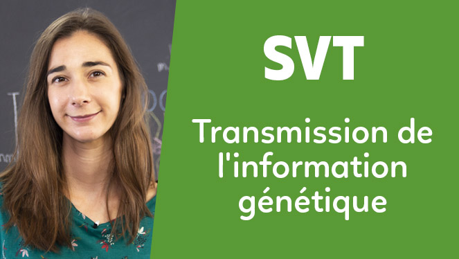 SVT - Transmission de l'information génétique : de la cellule oeuf à
                                                    l'organisme