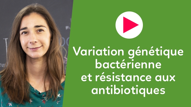 Variation génétique bactérienne et résistance aux antibiotiques