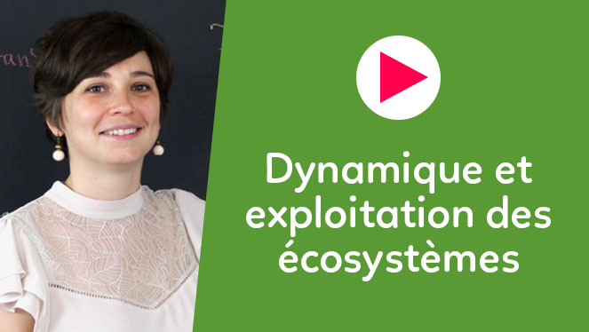 Dynamique et exploitation des écosystèmes