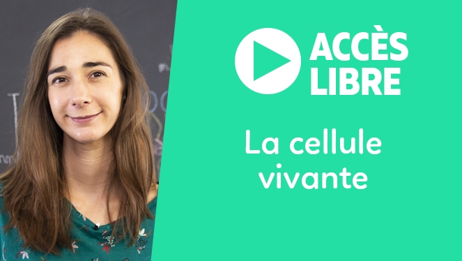 La cellule vivante