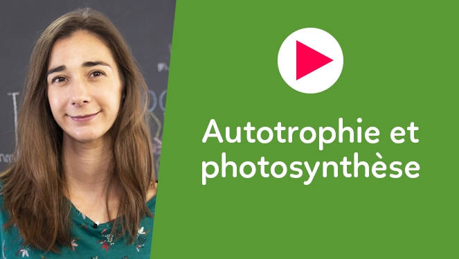 Autotrophie et photosynthèse