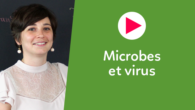 Microbes et virus