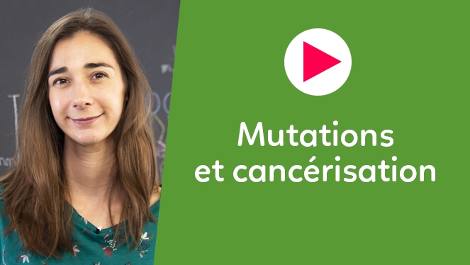 Mutations et cancérisation