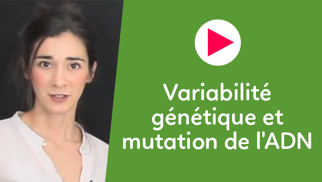 Variabilité génétique et mutation de l'ADN