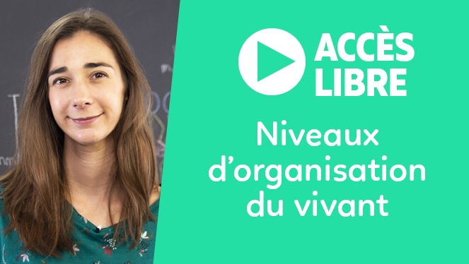 Niveaux d'organisation du vivant